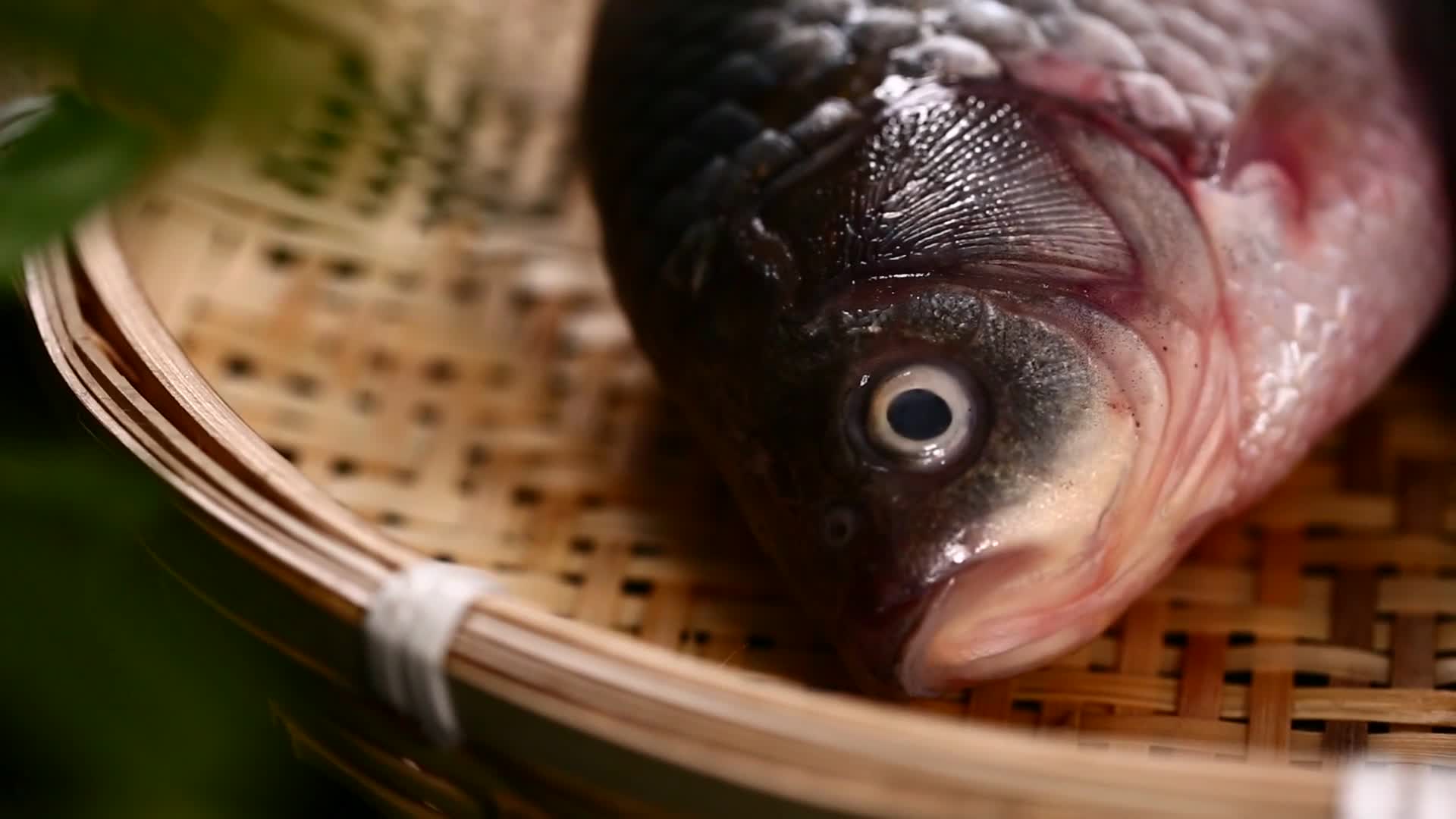 镜头合集挑选鲫鱼水产辨别方法视频的预览图