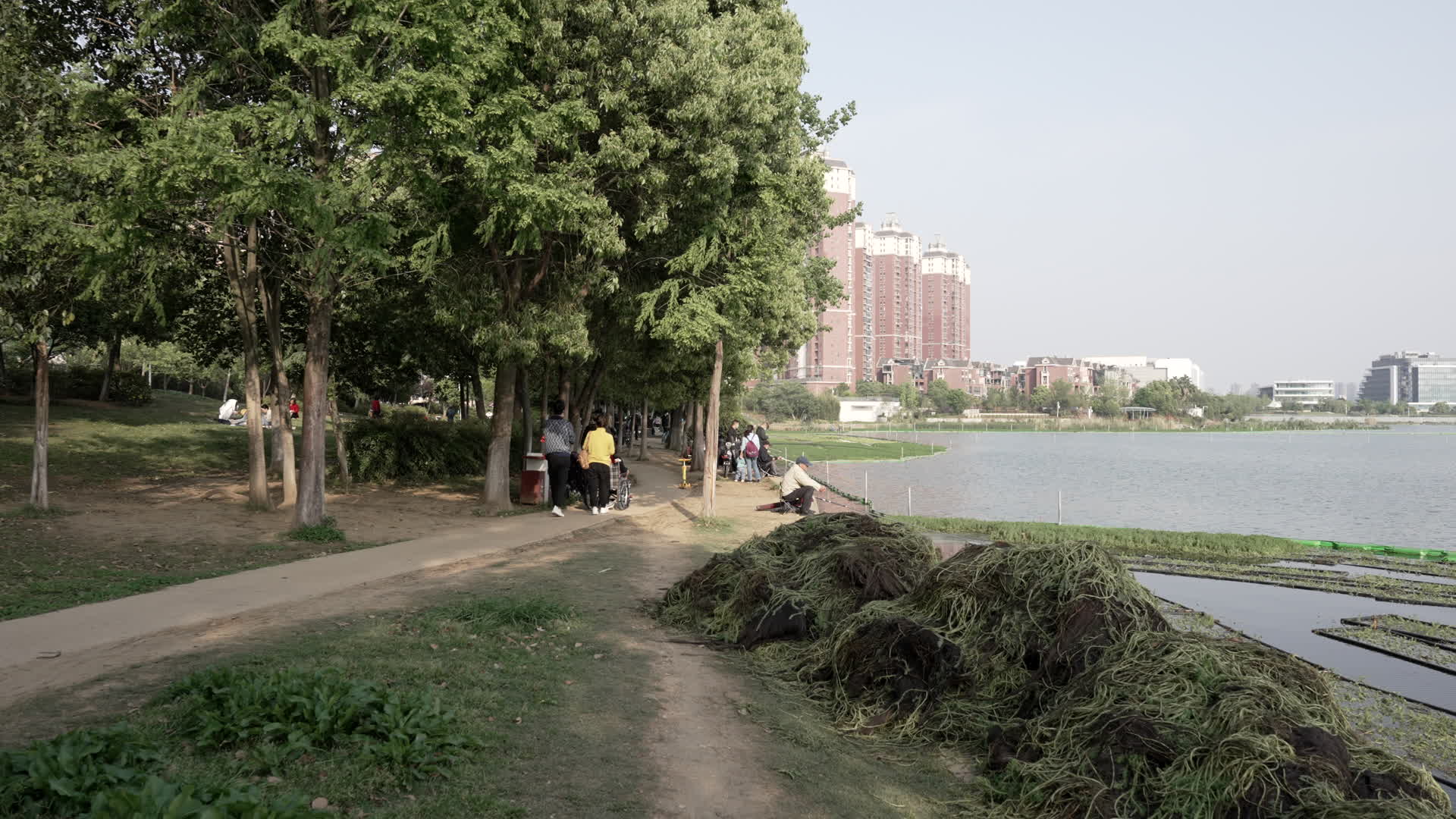 武汉洪山湖滨公园休闲地区视频的预览图
