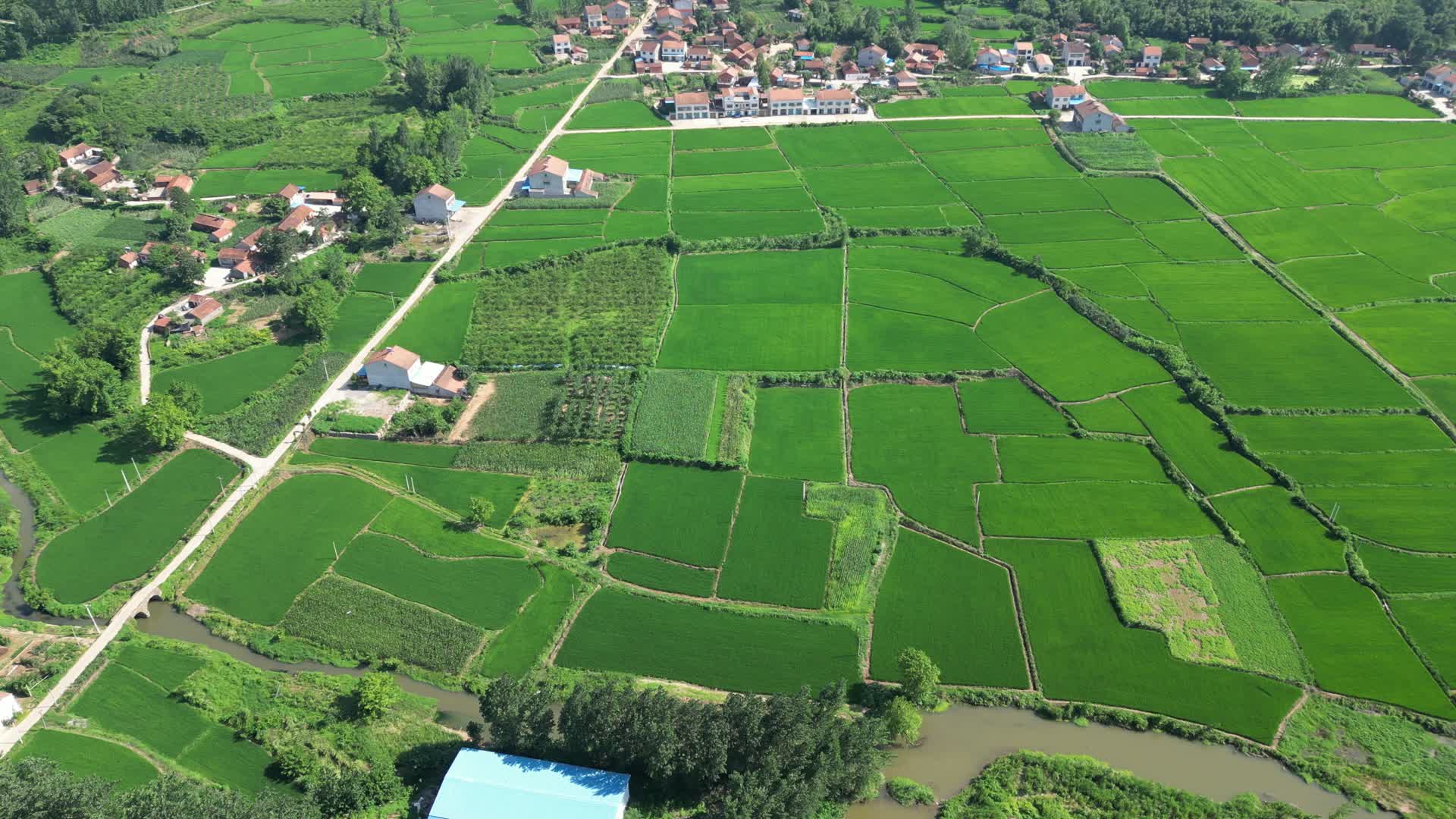 航拍绿色农田农业种植基地视频的预览图