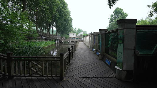 中国科学院武汉植物园沉水植物区视频的预览图