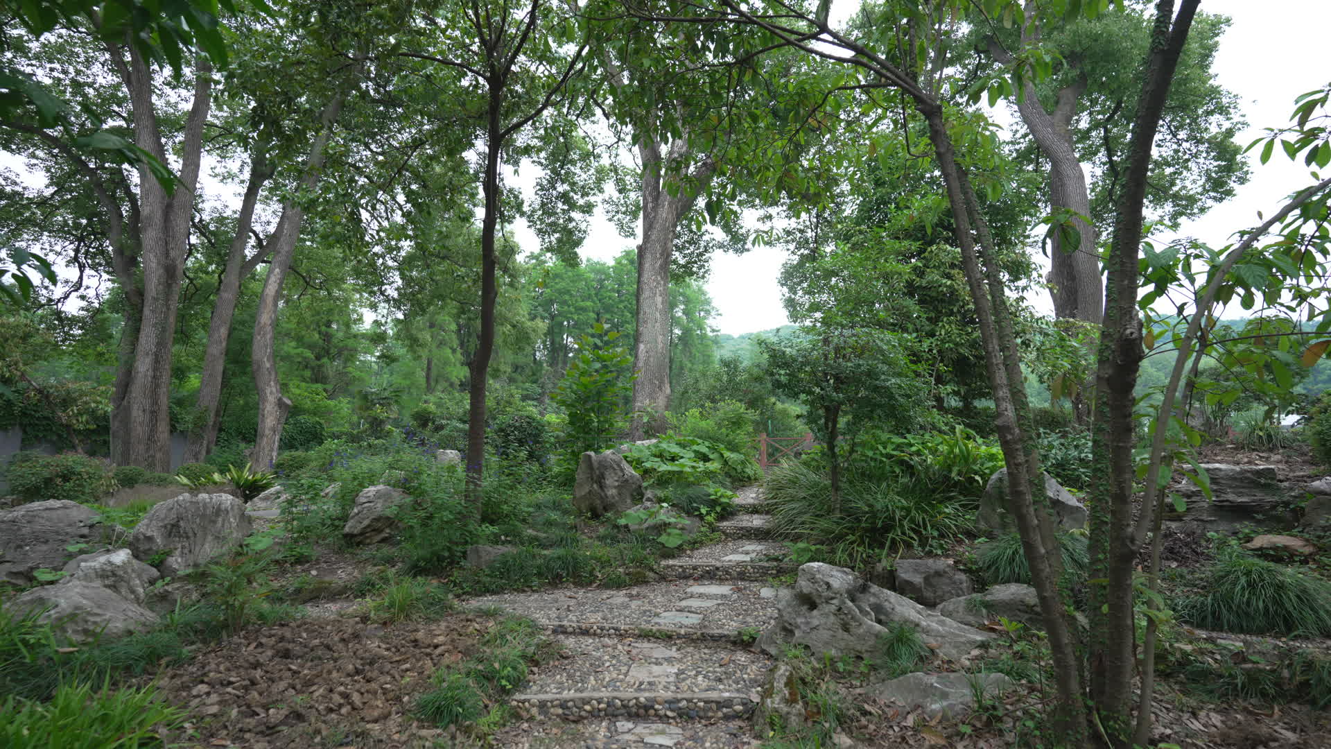 中国科学院武汉植物园本草园视频的预览图