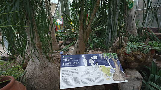 中国科学院武汉植物园景观温室视频的预览图