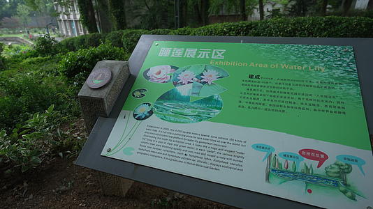 中国科学院武汉植物园睡莲展示区视频的预览图