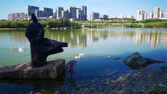 4K高清实拍西安曲江池南湖公园优美风景鸭子戏水视频的预览图