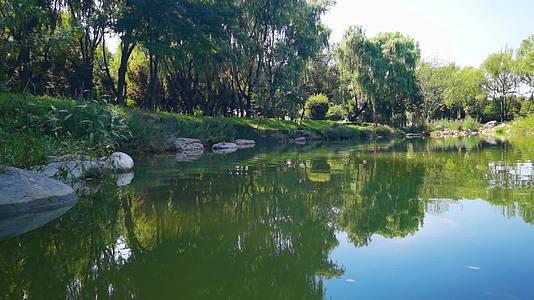 4K高清实拍西安曲江池南湖公园优美风景视频的预览图