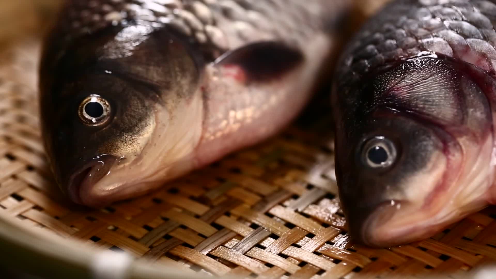 镜头合集鱼鳃辨别鱼新鲜程度视频的预览图