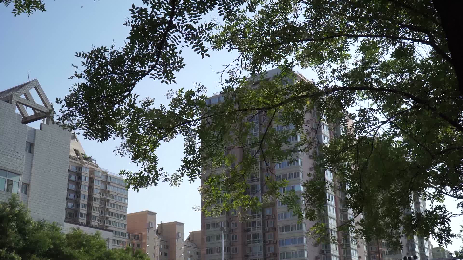 城市绿化马路公路道路林荫视频的预览图