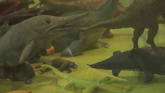 恐龙动物进化演变模型玩具视频的预览图