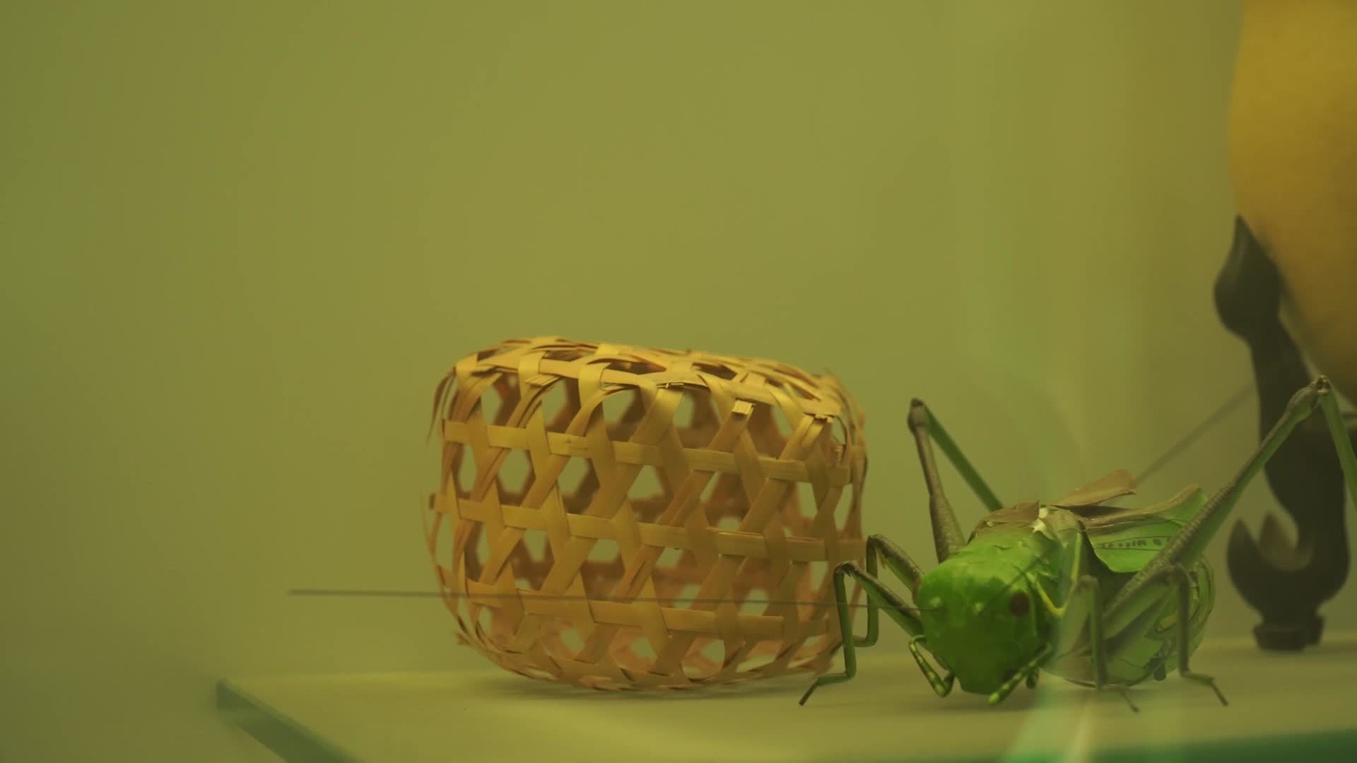 央视蟋蟀鸣虫器具蝈蝈笼视频的预览图