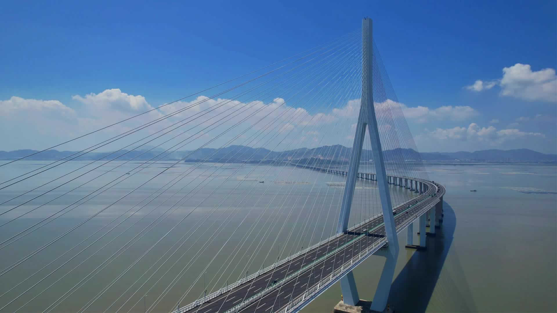 航拍厦漳大桥建筑景观视频的预览图