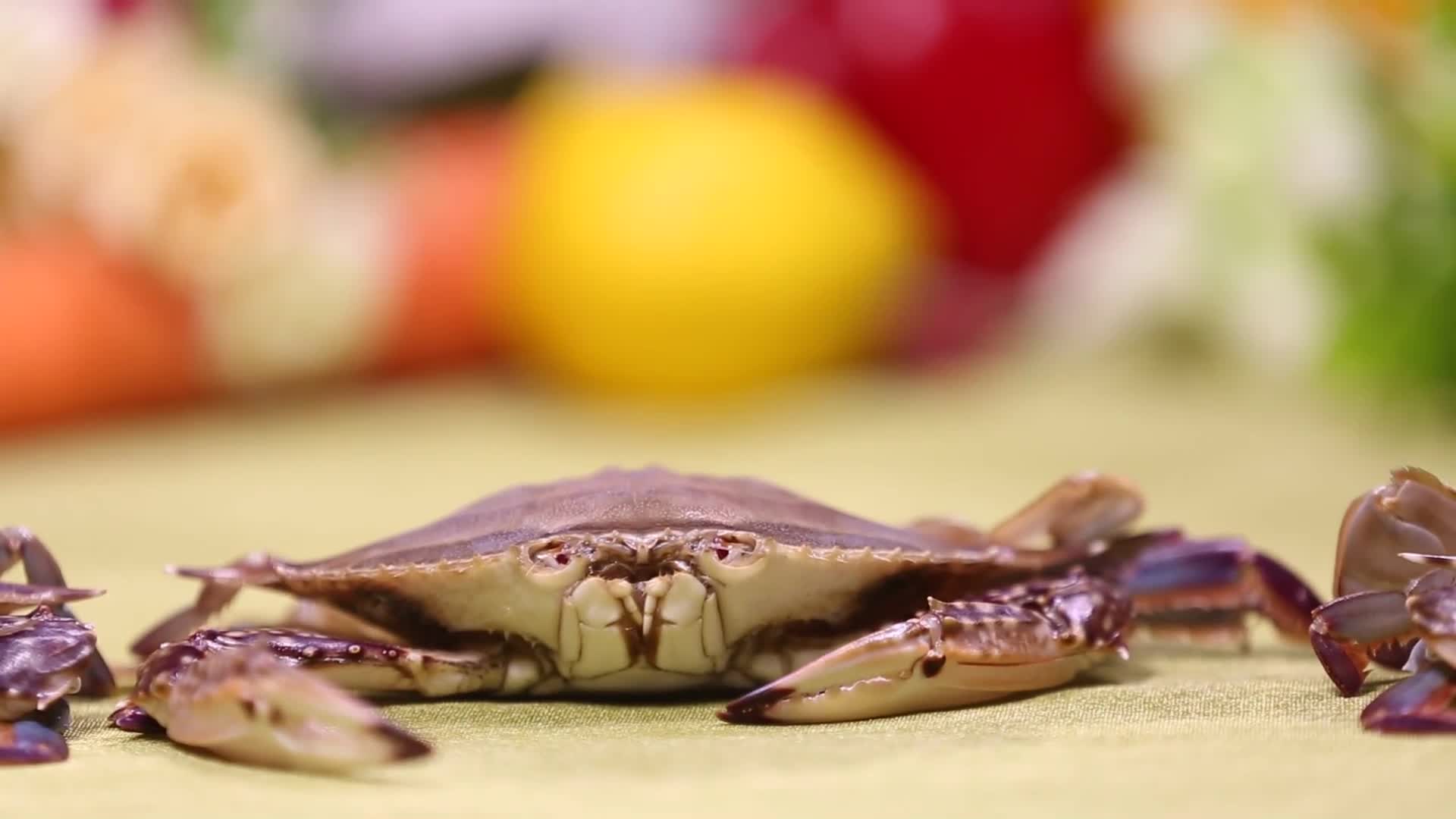 镜头合集螃蟹梭子蟹飞蟹视频的预览图