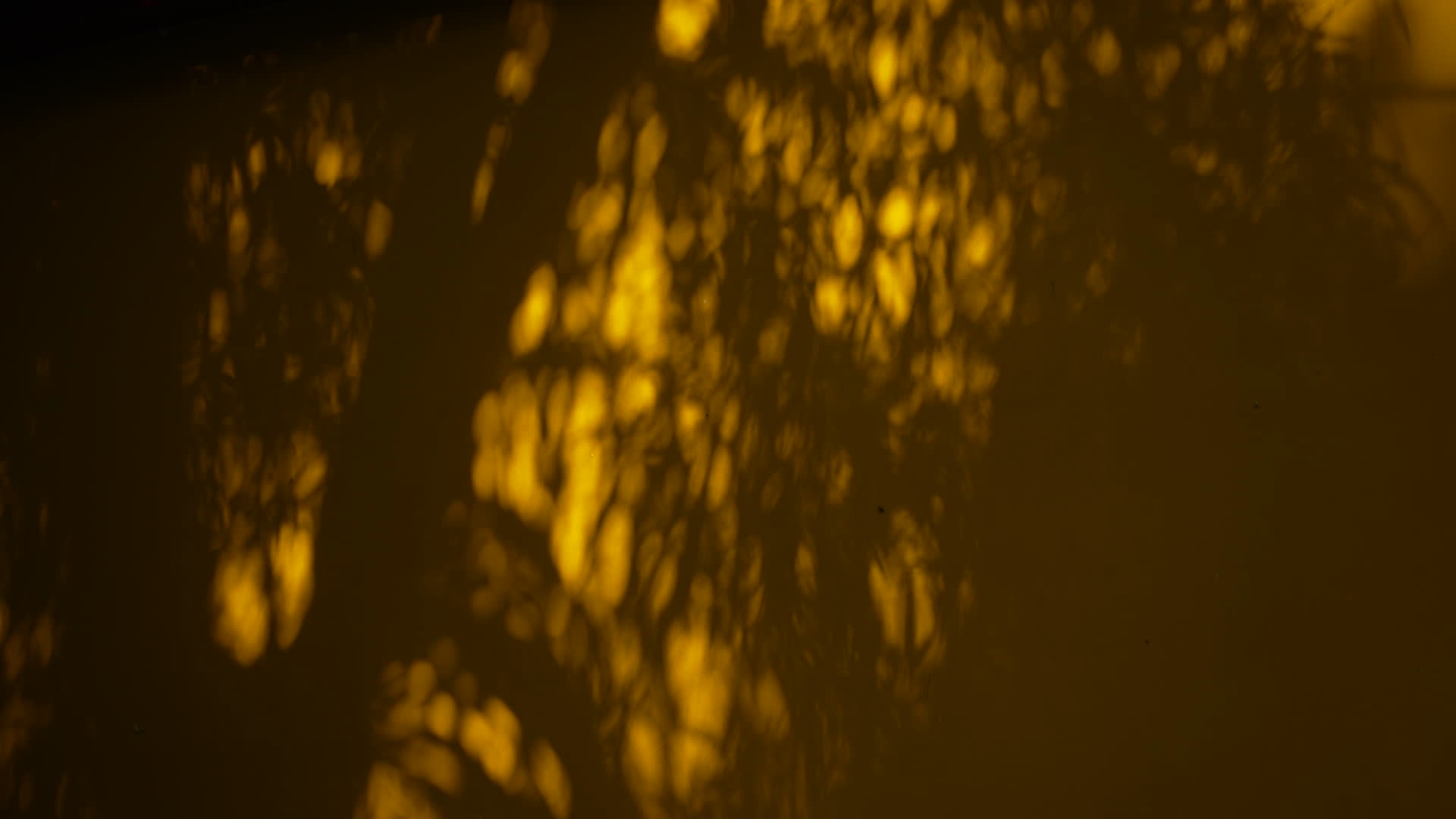 武汉首义公园太阳照在黄墙上倒影视频的预览图