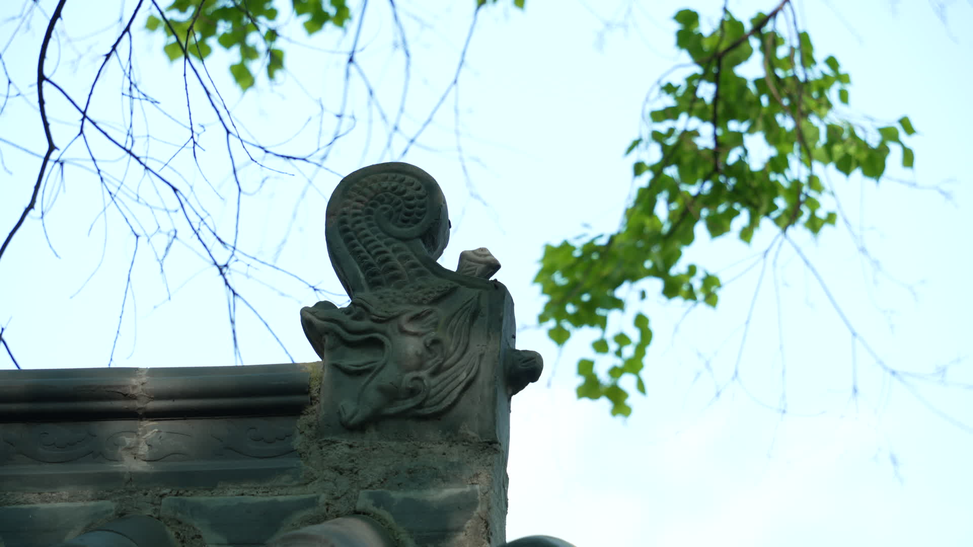 武汉首义公园龙华寺视频的预览图