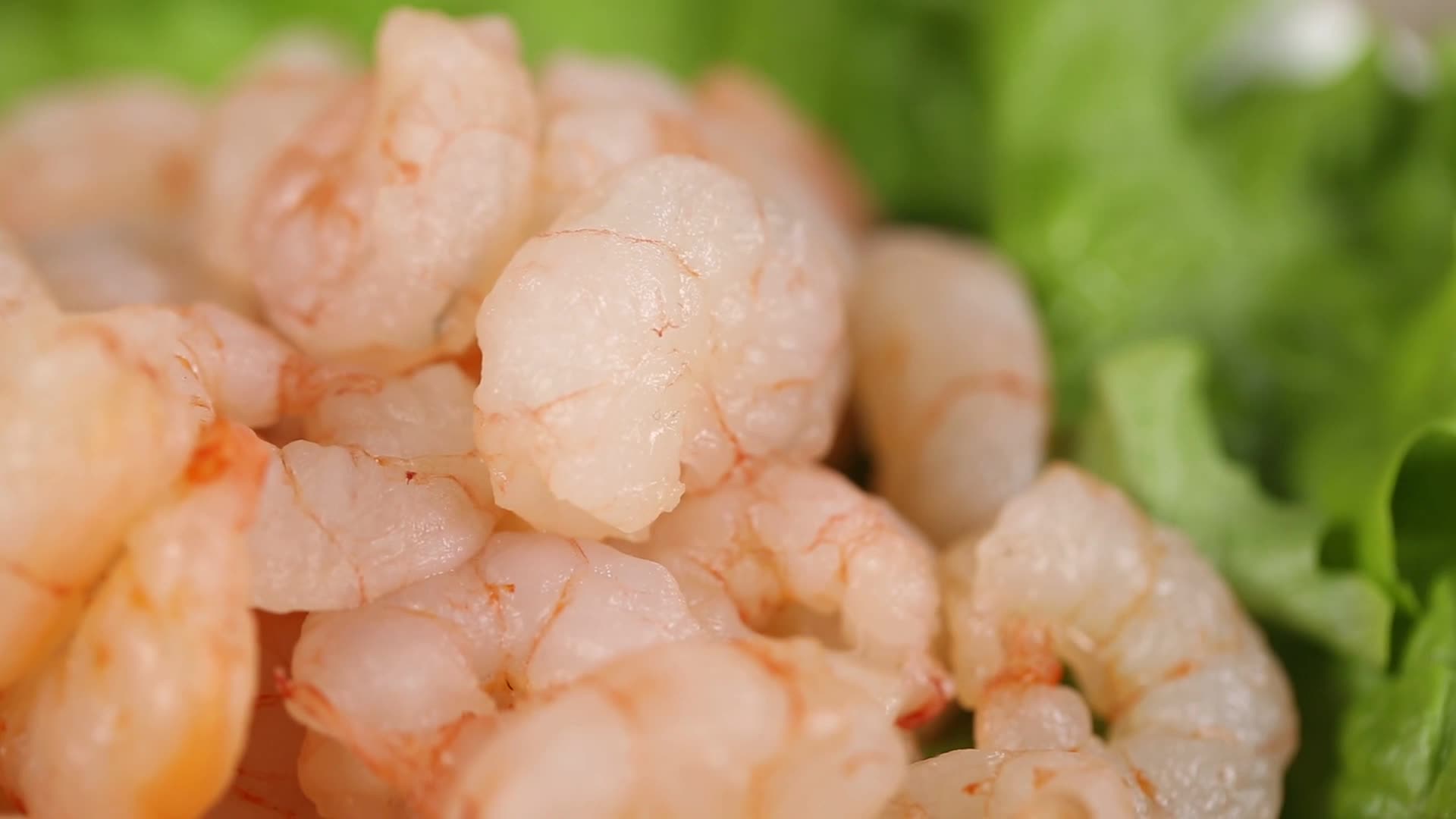 镜头合集虾仁虾肉海米大虾视频的预览图