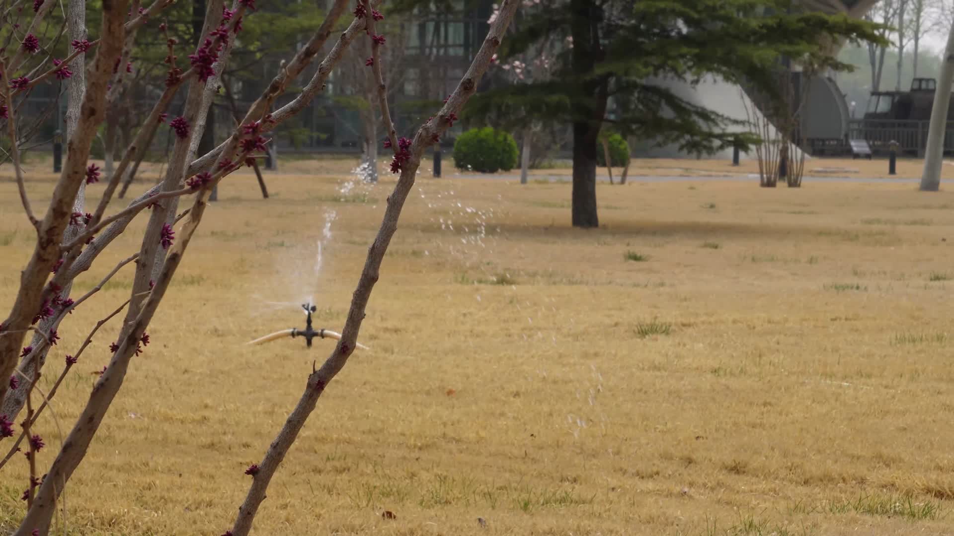 镜头合集自动浇水水管喷头喷水视频的预览图