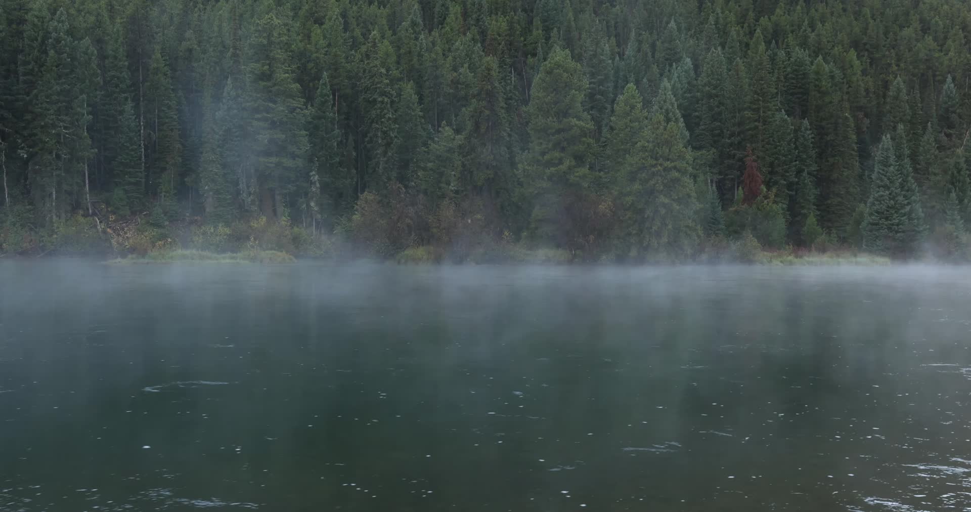 清晨森林湖面雾气升腾合集视频的预览图
