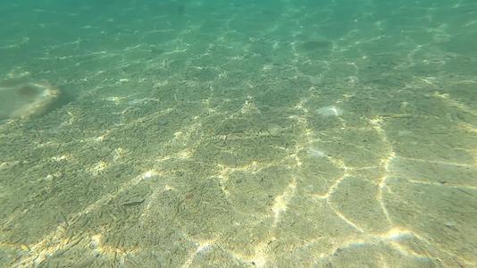 潜水水下拍摄珊瑚礁石视频的预览图