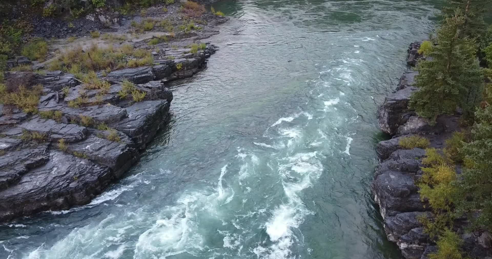 秋季森林湍急河流河水航拍视频的预览图