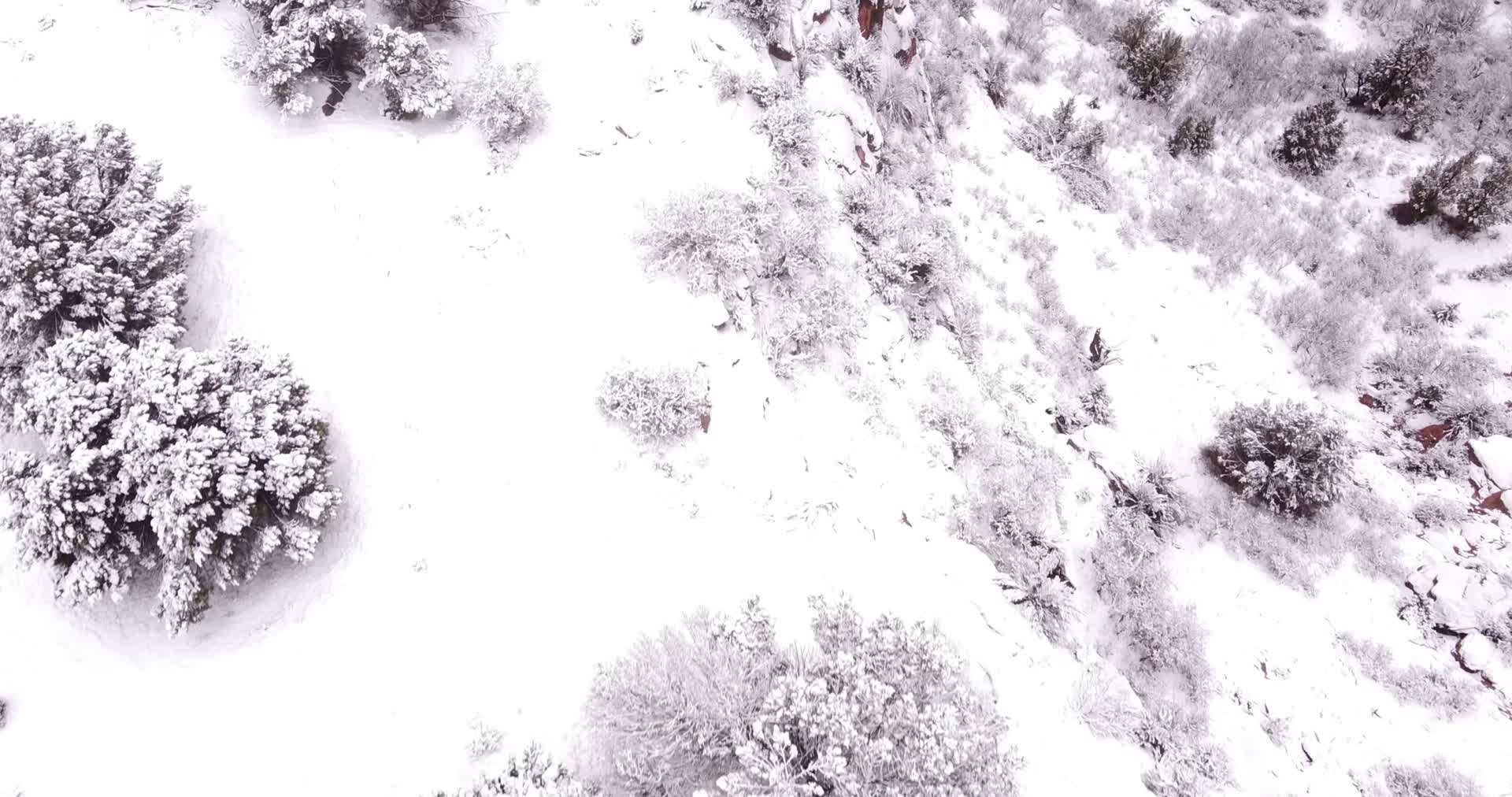 冬季下雪森林河流航拍视频的预览图