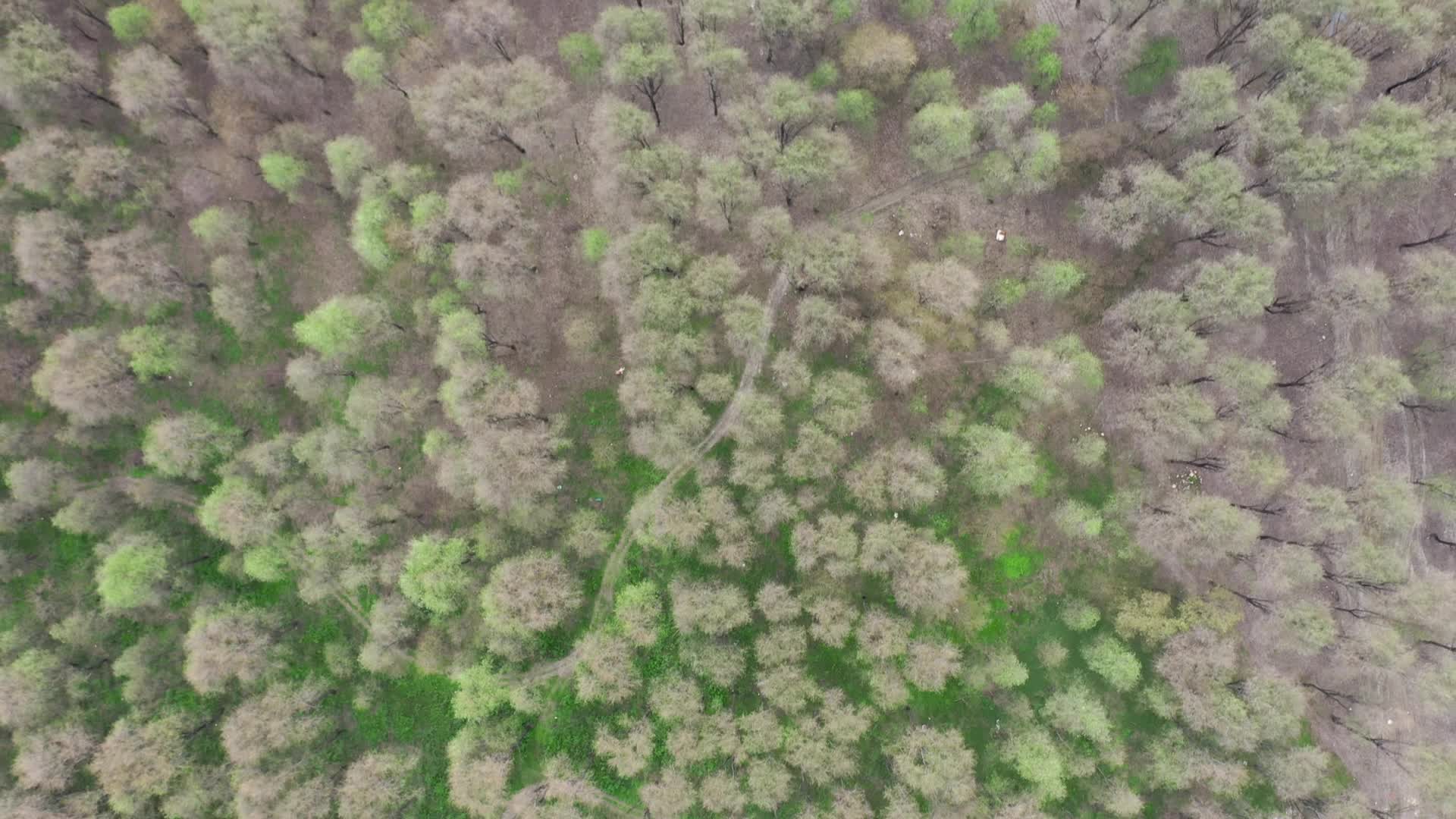 金沙江农田高原河流农村农业高山视频的预览图