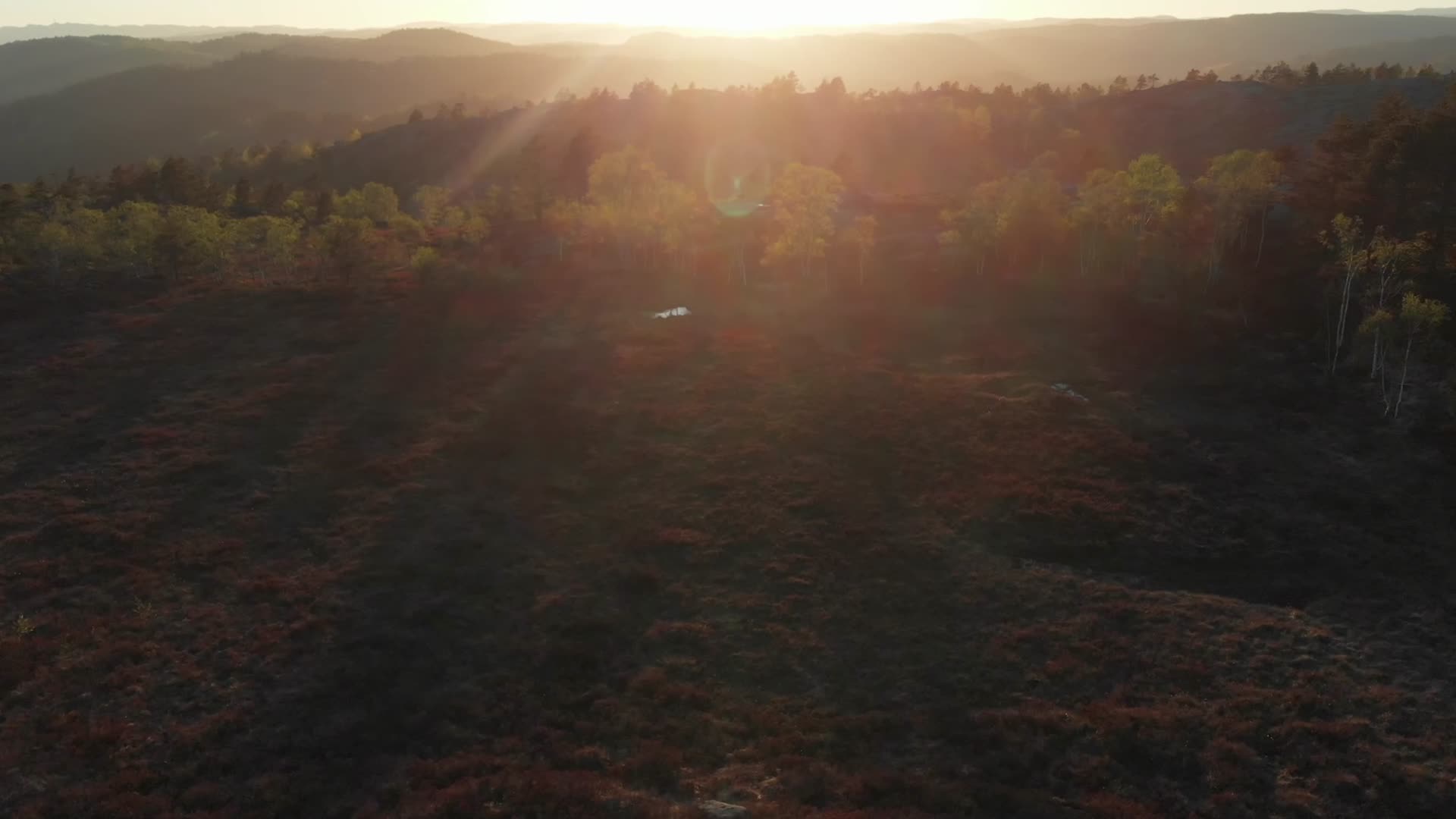 秋季傍晚森林夕阳唯美航拍合集视频的预览图