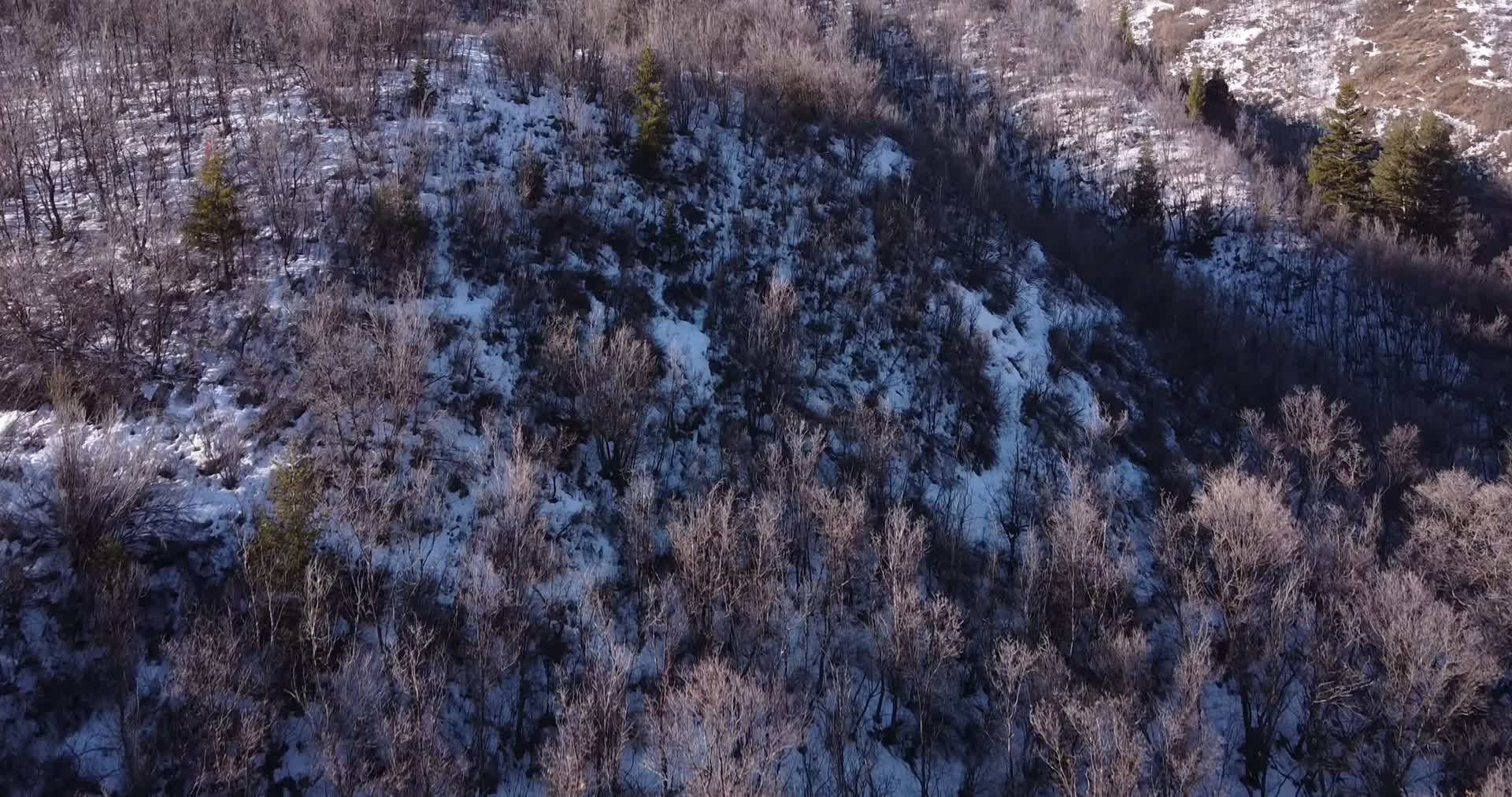 冬季森林河流积雪航拍合集视频的预览图
