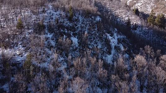 冬季森林河流积雪航拍合集视频的预览图