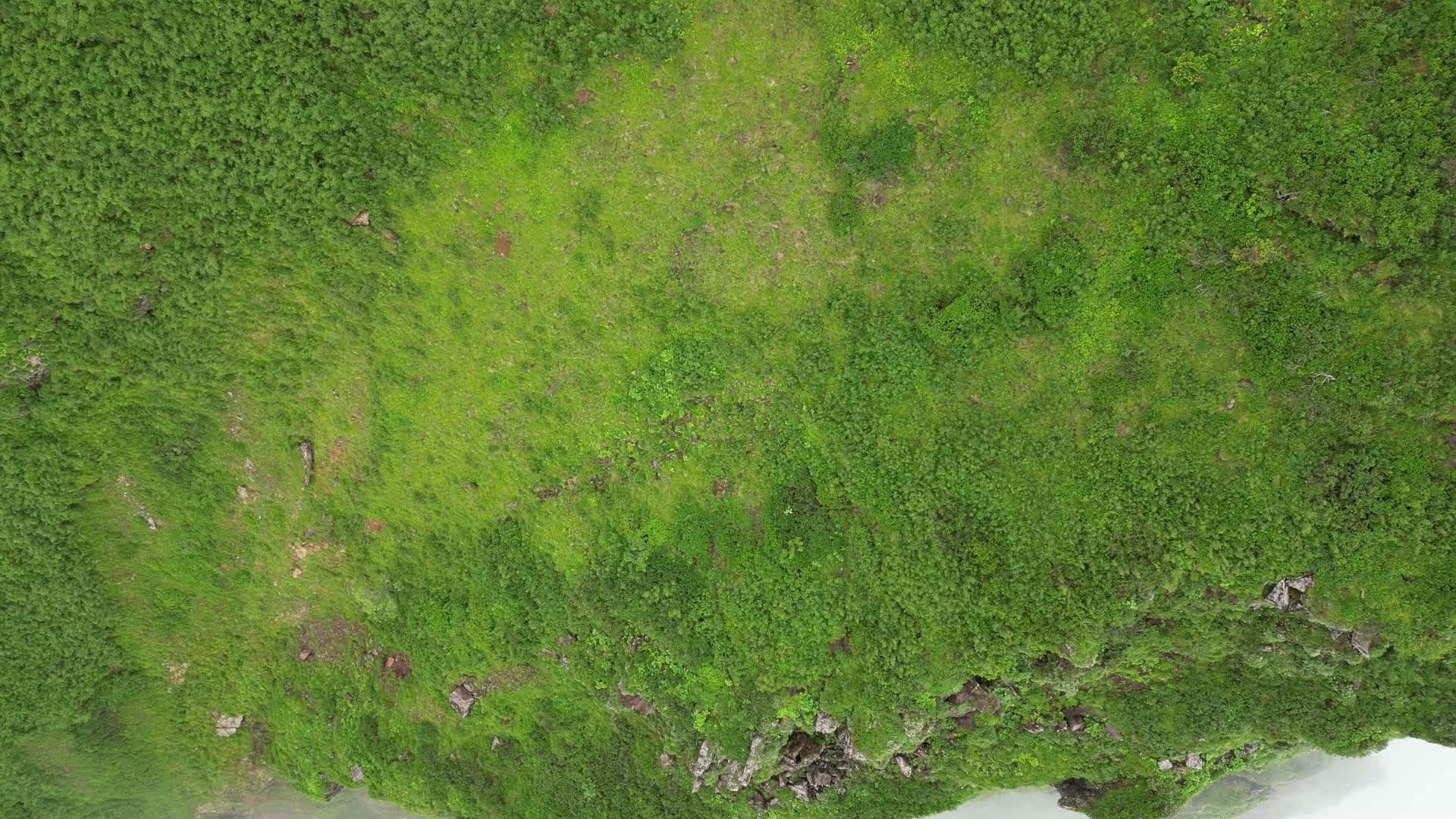 航拍高山悬崖云海视频的预览图