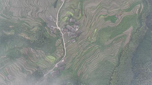 旅游景区广西桂林龙脊梯田视频的预览图