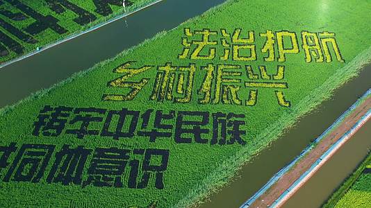 4k航拍科技观光农业稻田画视频的预览图