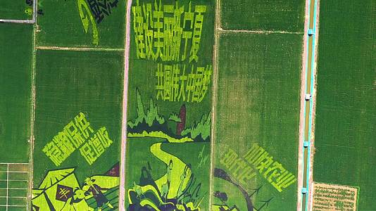 4k航拍数字农业稳粮促供稻田画视频的预览图