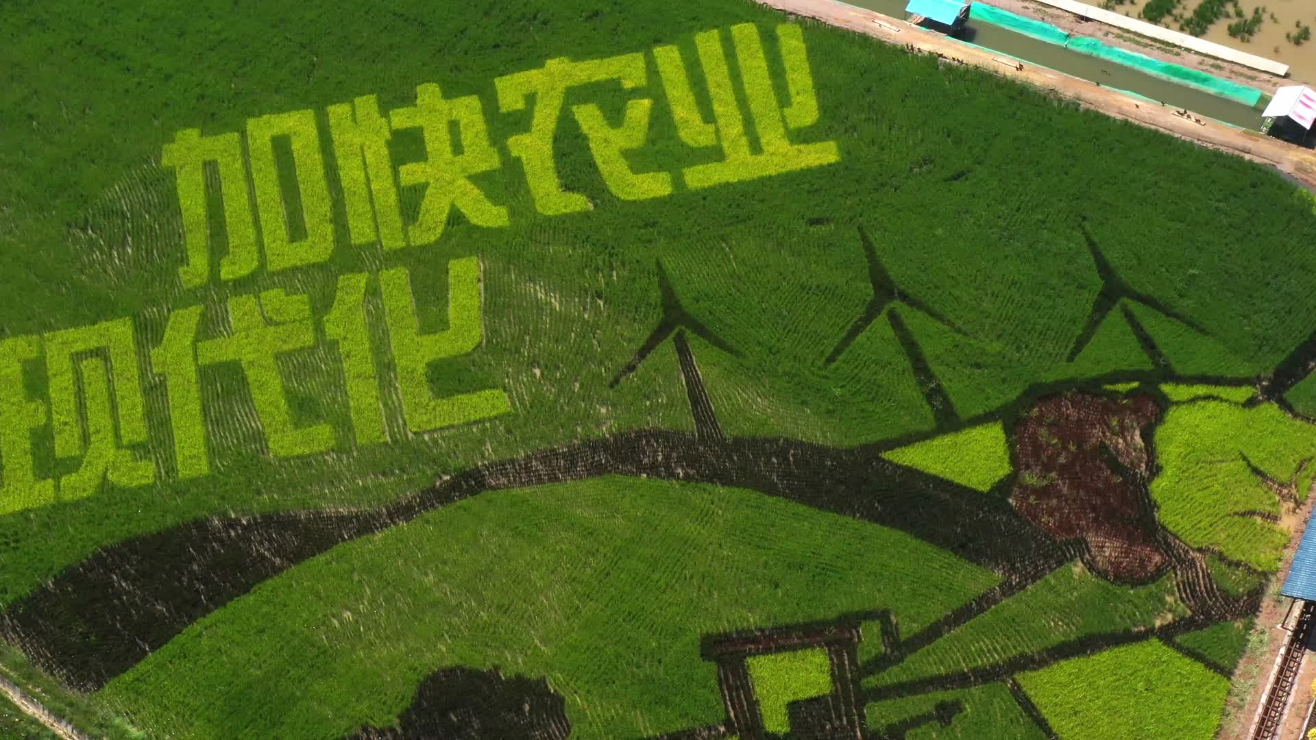 4k航拍加快农业现代化稻田画视频的预览图
