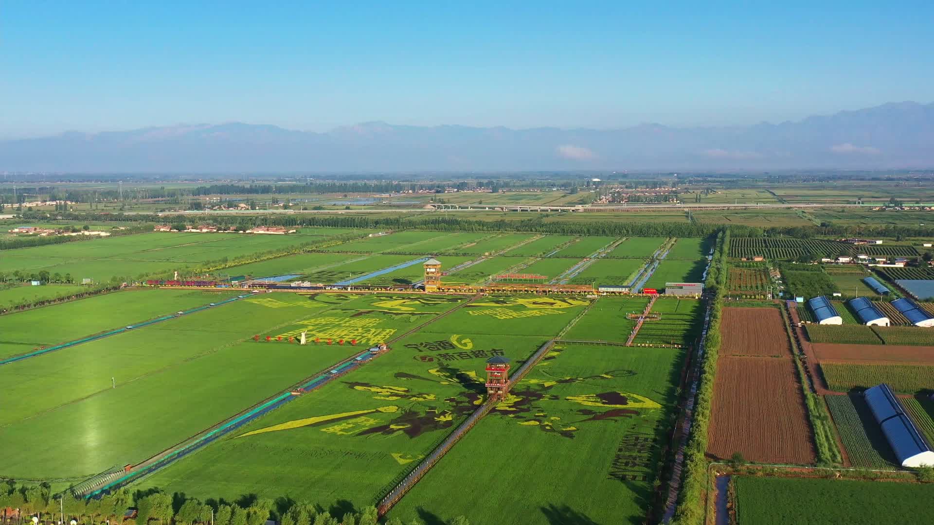 4k航拍黄河流域生态保护农业先行区视频的预览图