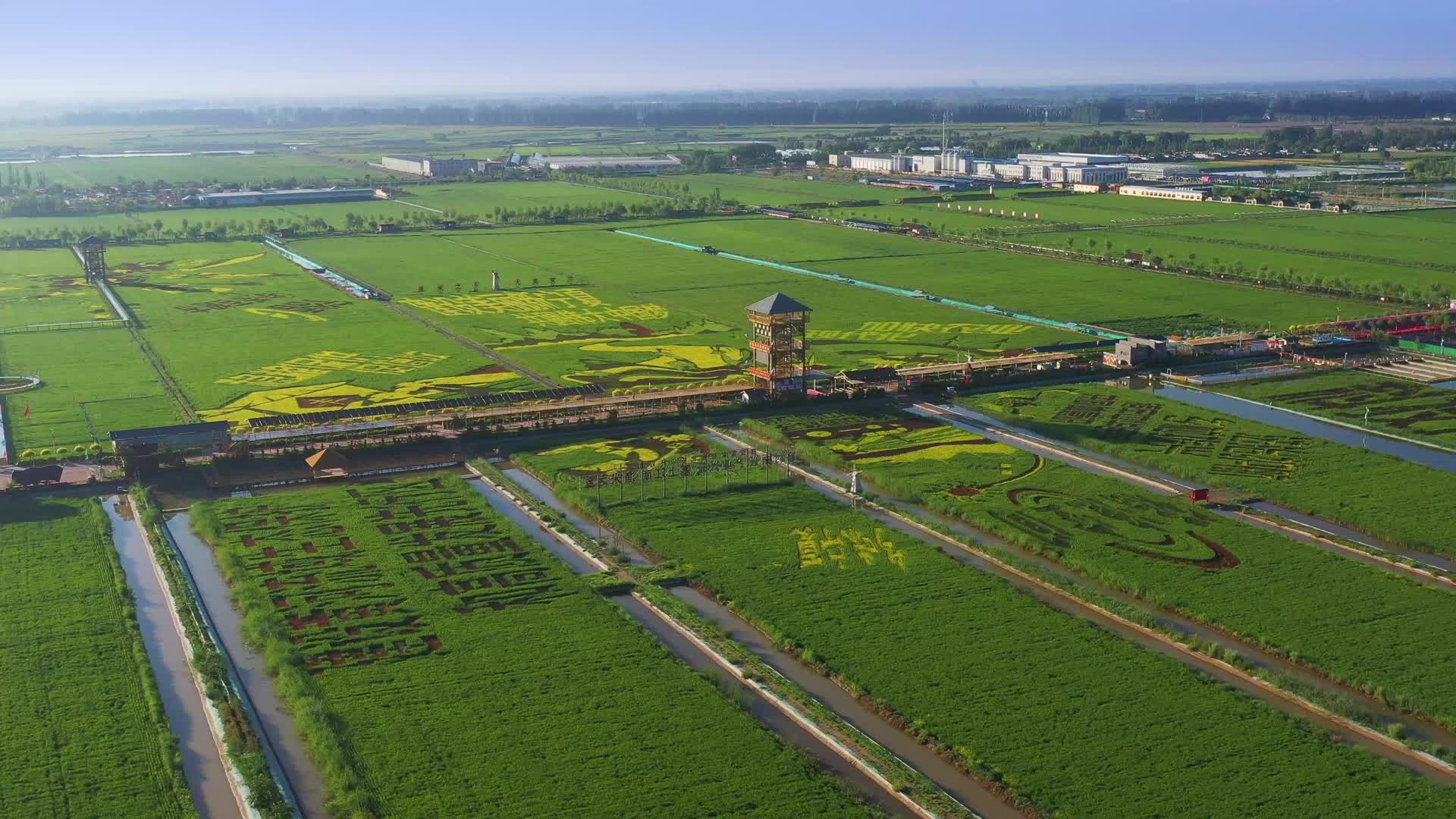 4k航拍宁夏农业稻田画视频的预览图