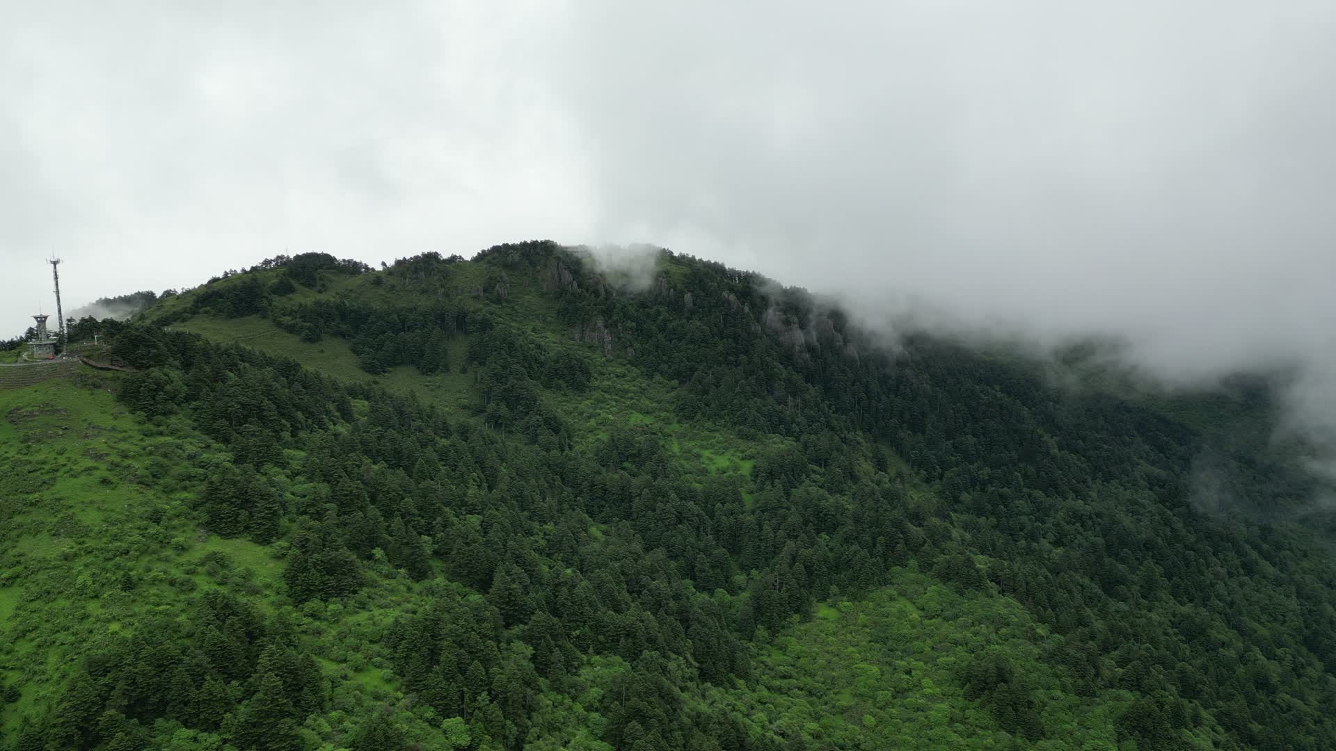 航拍山顶森林树木视频的预览图