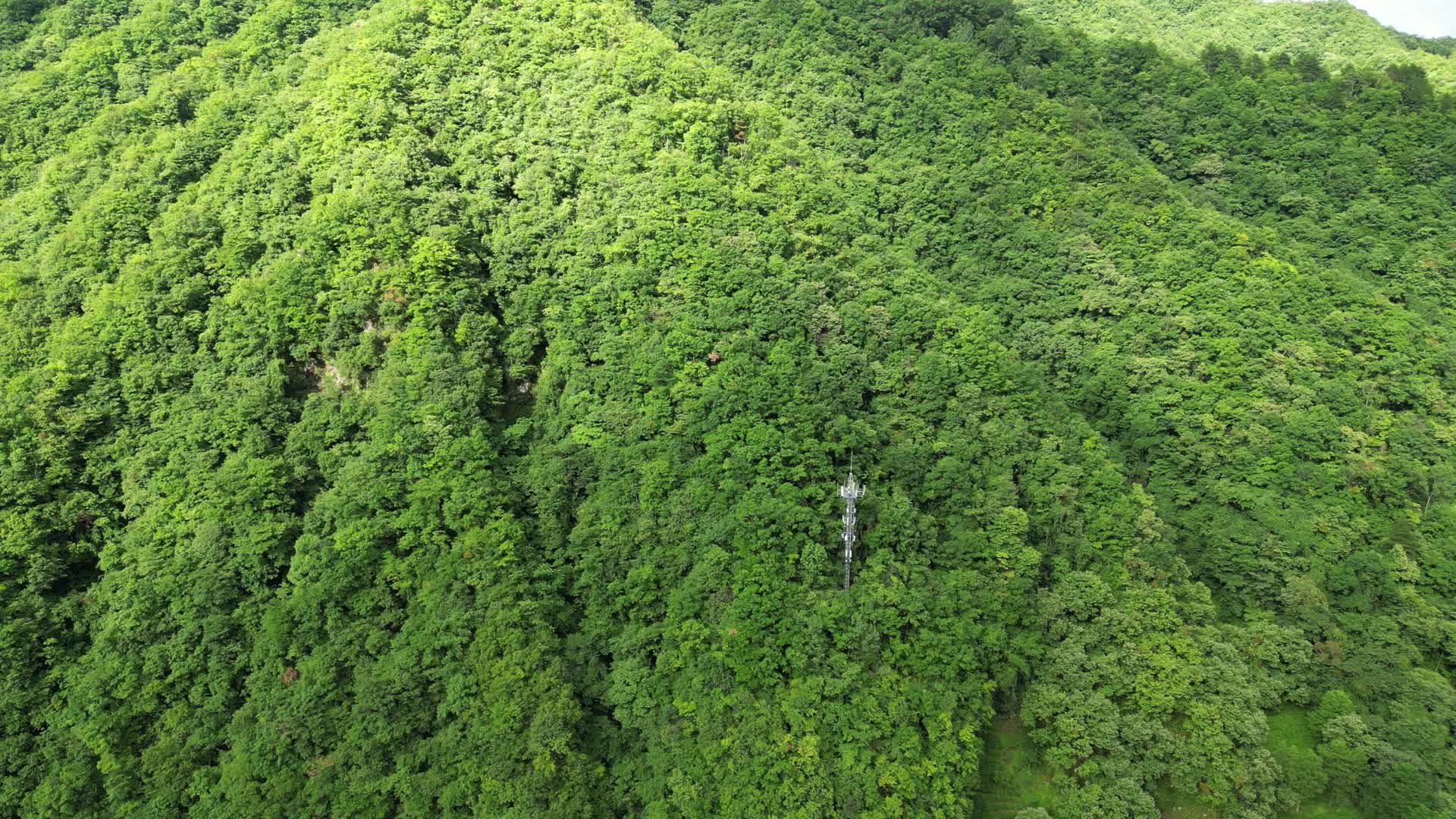 航拍雄伟大山森林自然风光视频的预览图