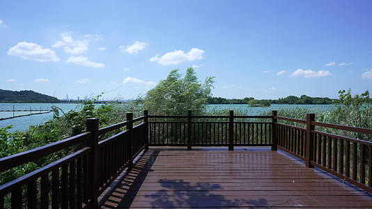 武汉东湖风景区万国公园视频的预览图