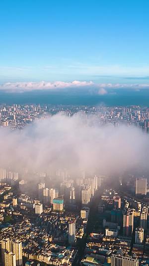 高清竖屏航拍城市上空云海翻涌视频的预览图