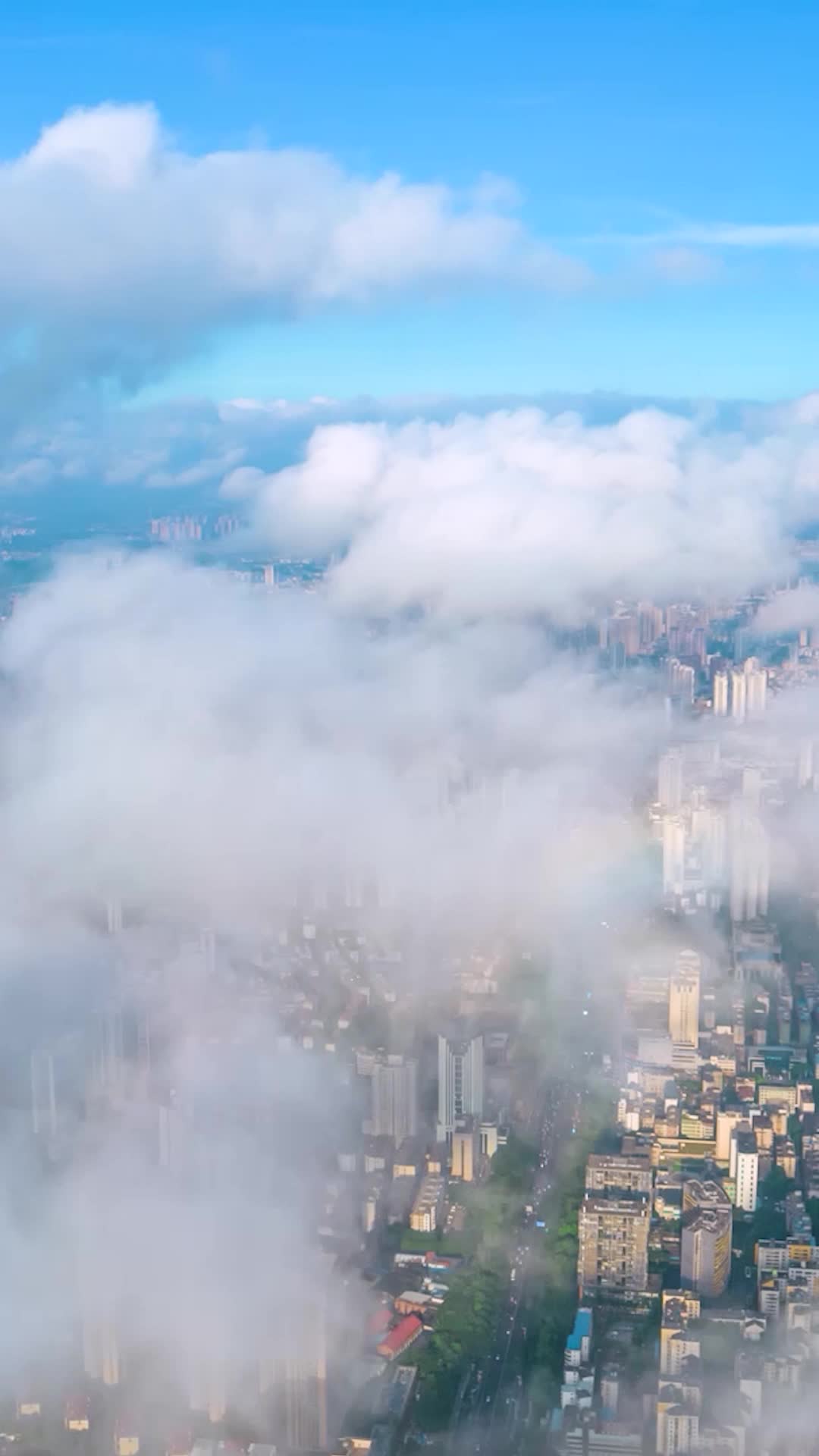 高清竖屏航拍城市云海佛光视频的预览图