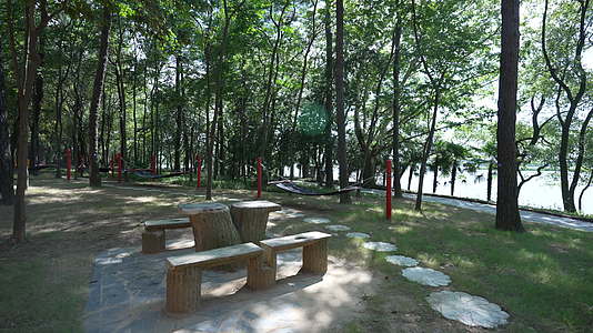 武汉东湖落雁风景区松鼠乐园视频的预览图
