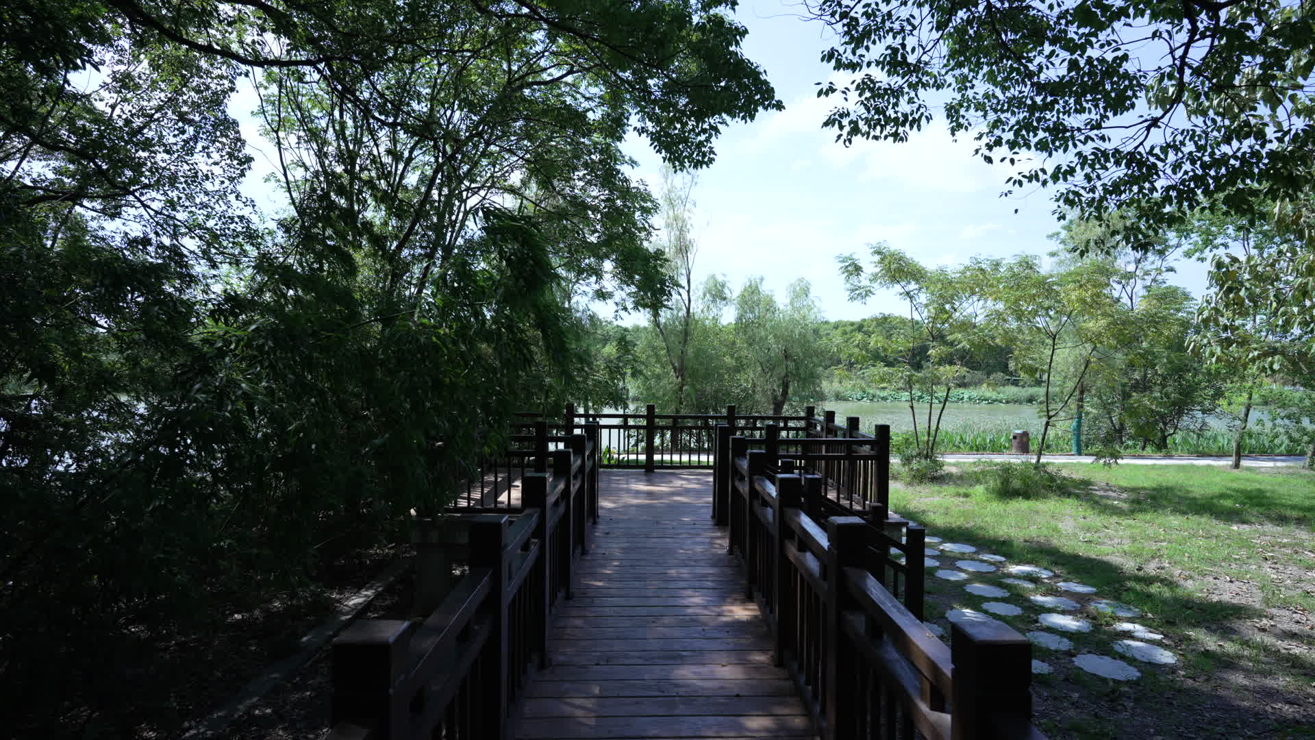 武汉东湖落雁风景区松鼠乐园视频的预览图
