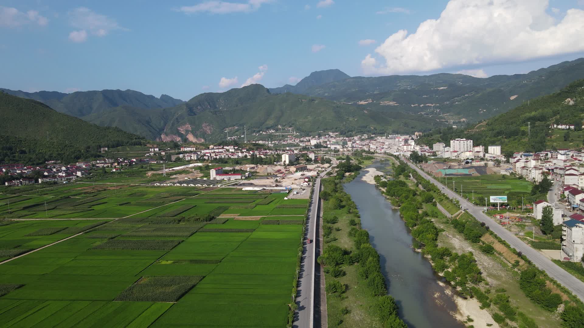 航拍农业种植大片稻田视频的预览图