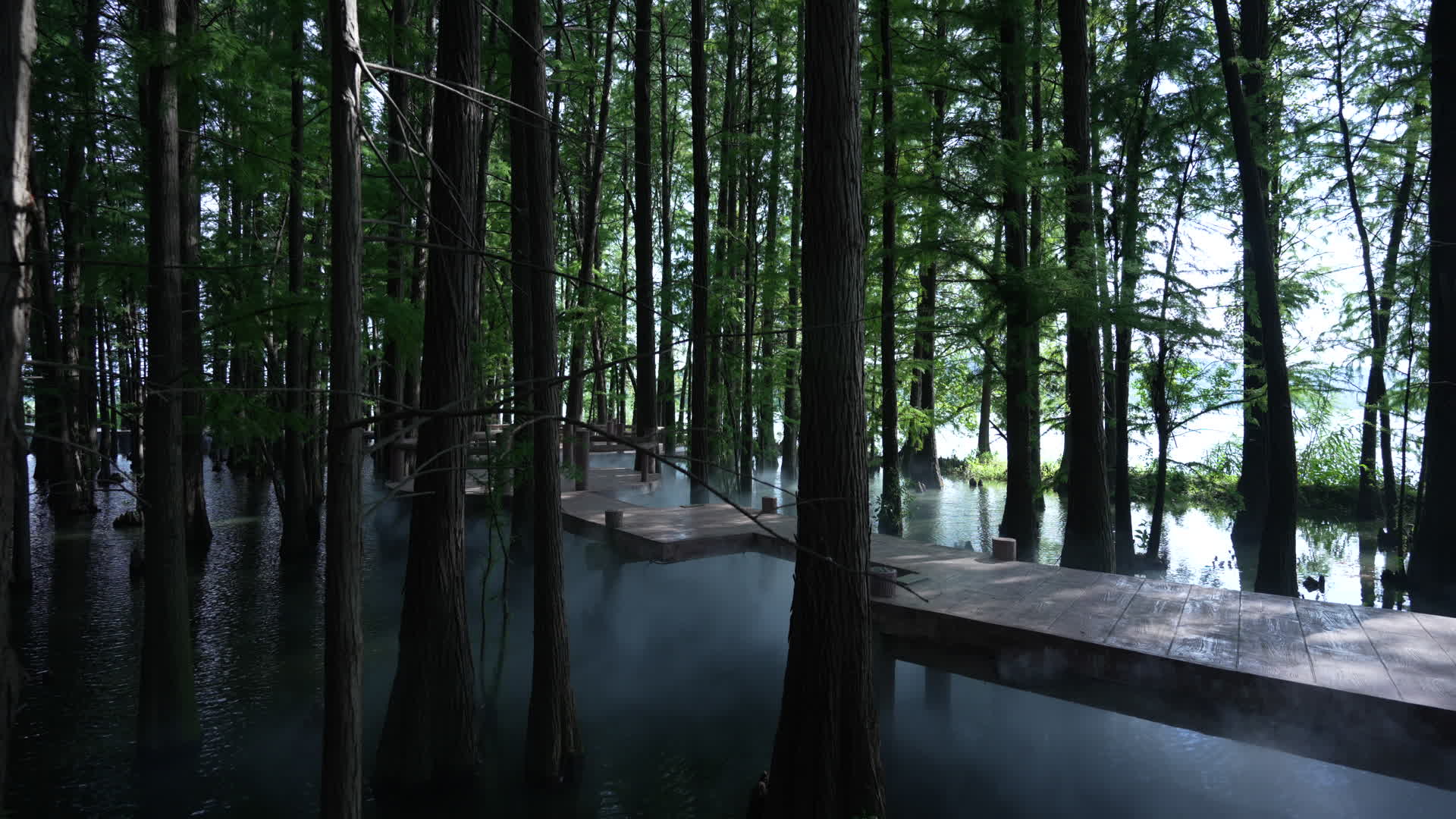 武汉东湖风景区落雁景区视频的预览图