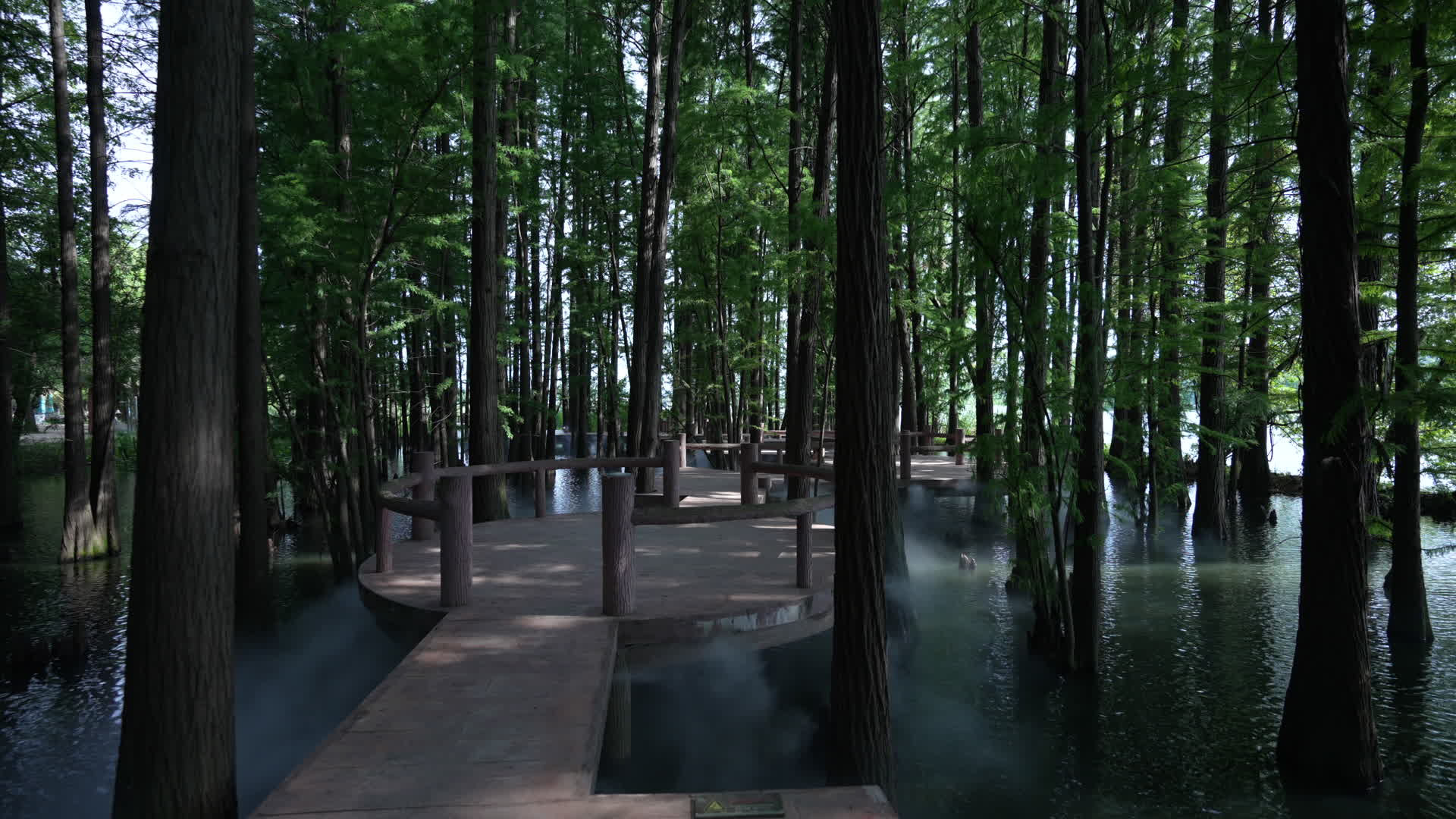 武汉东湖风景区落雁景区视频的预览图