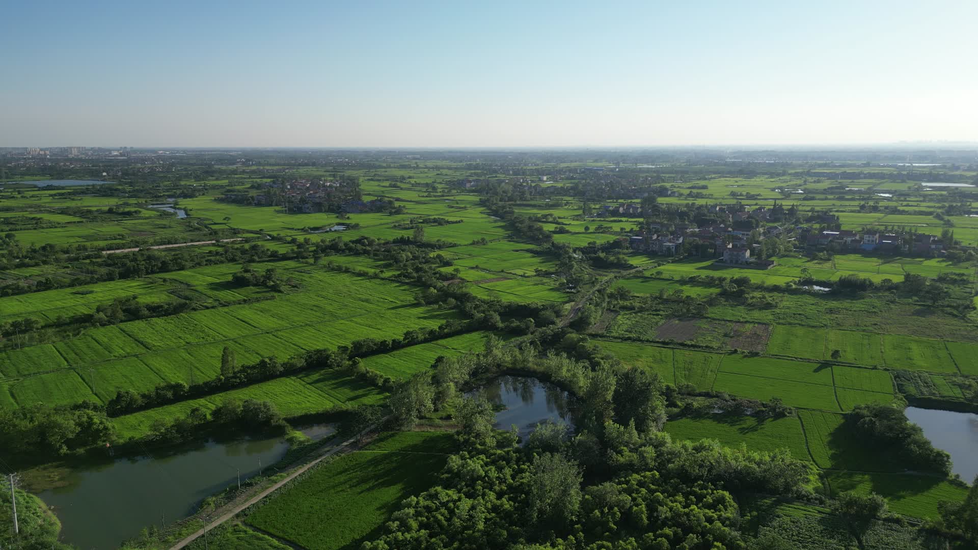 航拍农业种植美丽乡村视频的预览图