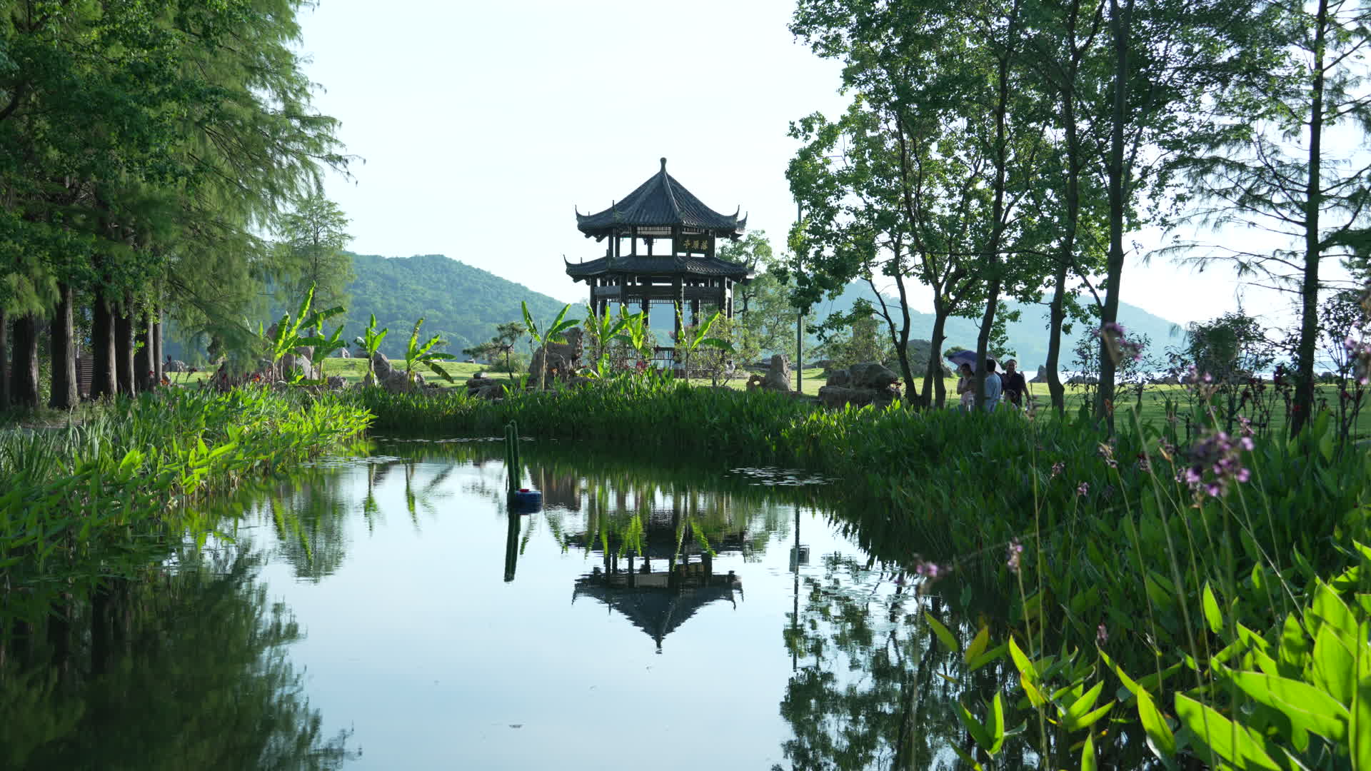 湖北武汉东湖落雁风景区视频的预览图