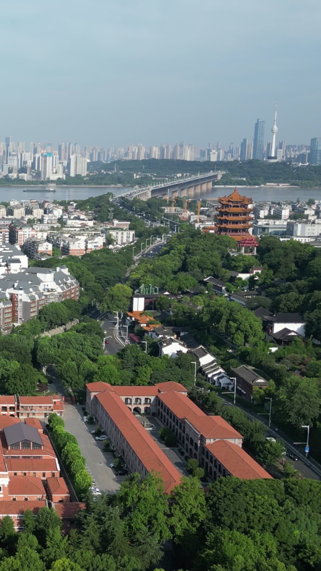 湖北武汉辛亥革命纪念馆竖屏航拍视频的预览图