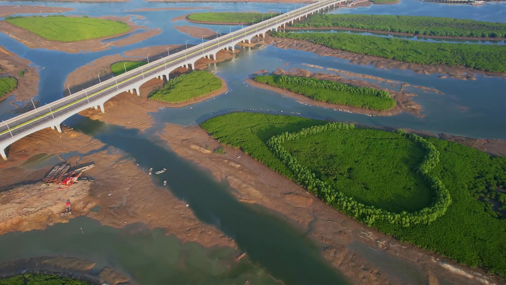 航拍厦门下潭尾湿地公园景观视频的预览图