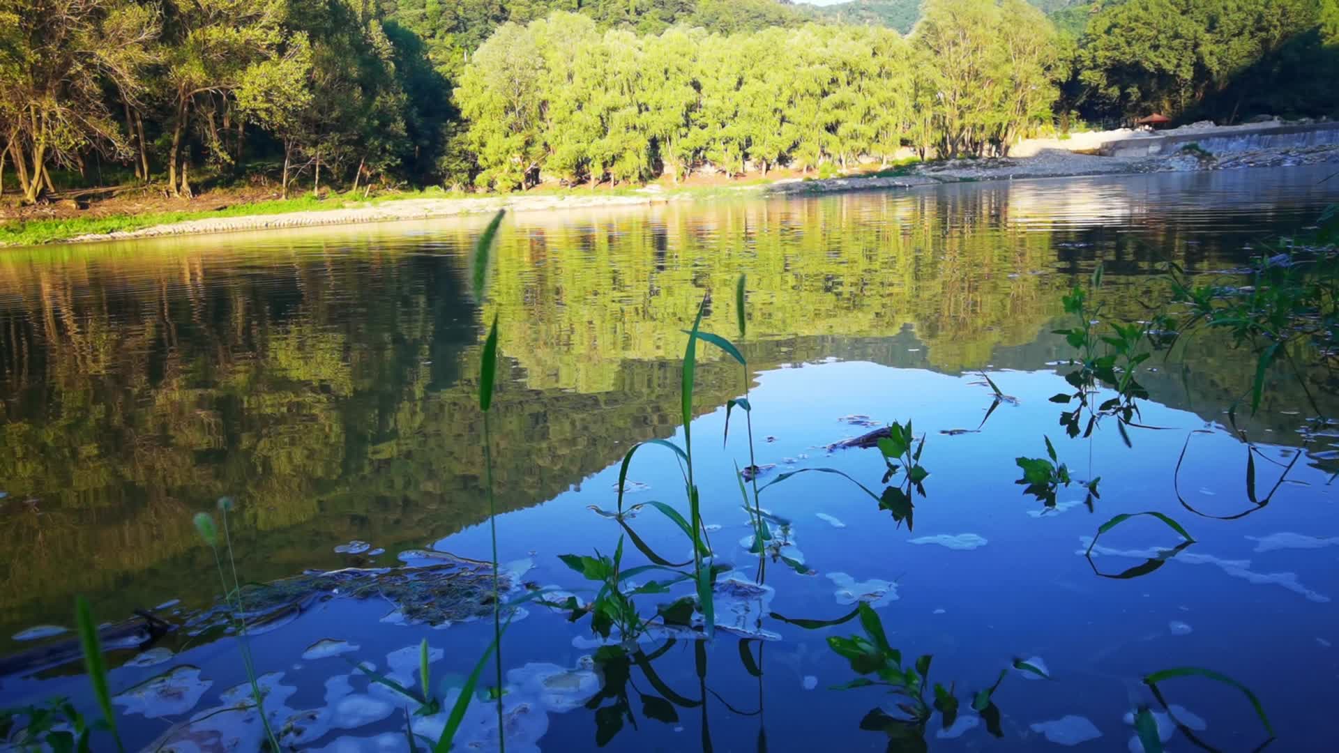 4K秦岭北麓汤峪湖森林公园视频的预览图