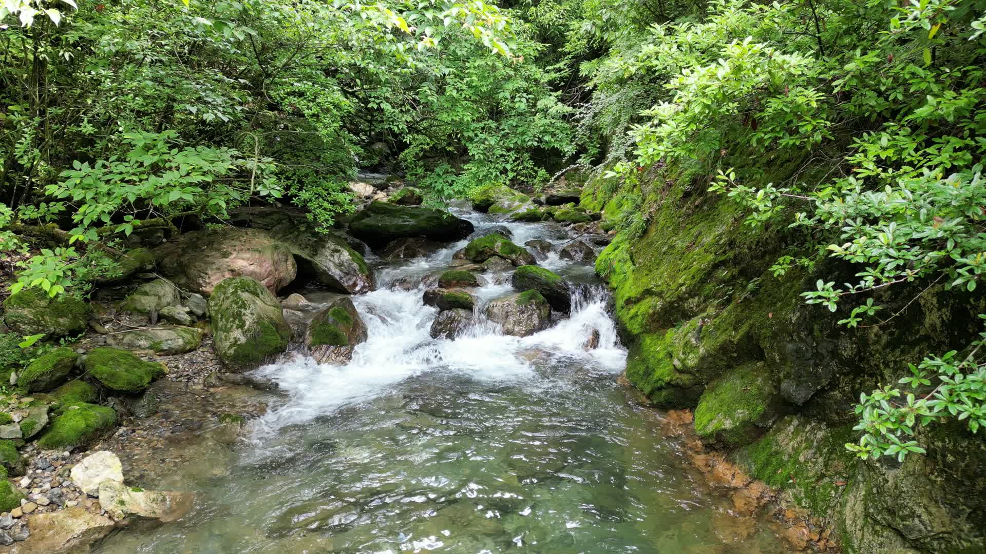 青山绿水溪流瀑布自然风光视频的预览图